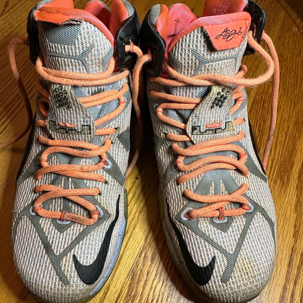 Lebron Easter Kicks